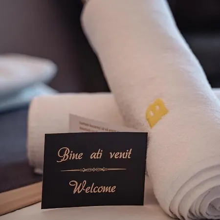 Appart hôtel Silver Mountain & 3*
