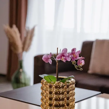 Silver Mountain & Aparthotel 3*