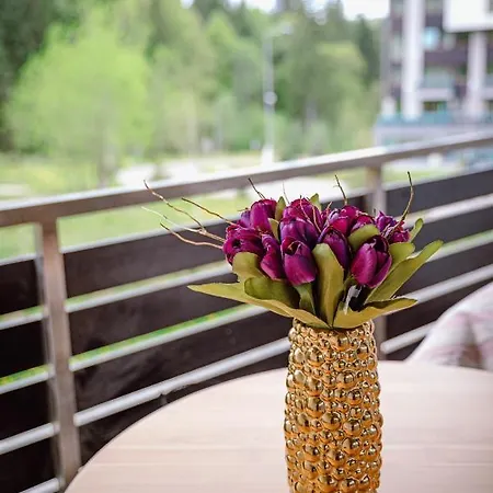 Silver Mountain & Lejlighedshotel Poiana Brasov